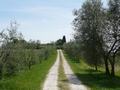 562 Strasse Richtung Orvieto.JPG